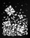 cut paper RELEASE TWO